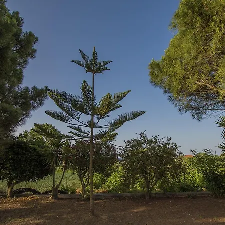 Porto Giardino Apartamento Kypseli